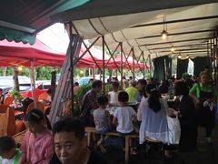 -易门野生菌府·菌海森林(月牙潭公园店)