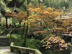 -凤栖山