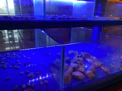 -富力丽思卡尔顿酒店·香荟全日制餐厅