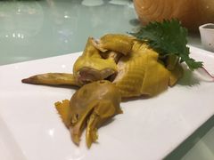 -骏莱海鲜鱼港(五角场店)