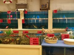 水产区-普天和酒楼·新津菜·烤鸭(天津之眼店)