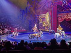 -珠海横琴长隆《卡卡虎奇遇记》