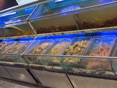 -渔家风味·鲅鱼水饺·央视展播·海鲜天津菜(开发区店)