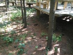 android_upload_pic-沈阳植物园