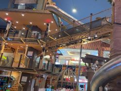 -卡通尼·Safari非洲探索乐园·生日会(金桥国际商业广场店)