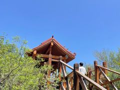 -野三坡百里峡景区