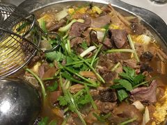 -古乐牛香·鲜牛肉牛杂火锅(新区店)