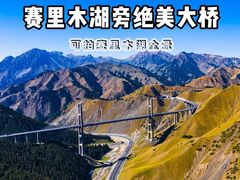 -果子沟大桥