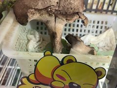 -菌之家·专业纯野生菌火锅·特色炒菌