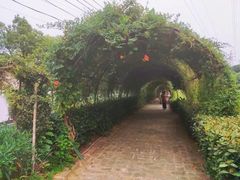 -张公山寨景区