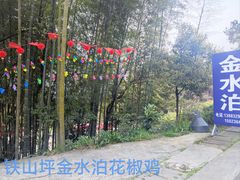 -金水泊山庄·花椒鸡(铁山坪店)