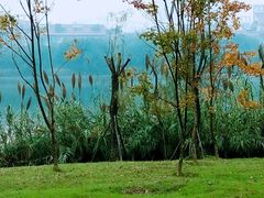 -眉山湿地公园(东坡区)