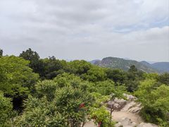 -灵岩山风景区