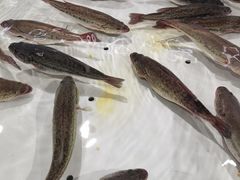 -永辉超市(鲁谷店)