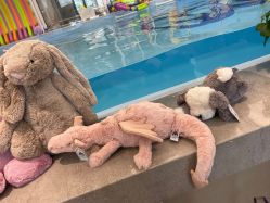 -jELLYCAT(华熙店)