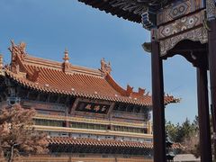 -大召无量寺