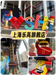 -乐高品牌旗舰店(人民广场店)
