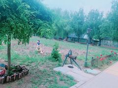 -歆和农庄·烤全羊