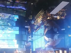 -喜庭海鲜自助(深圳万丰海岸城店)