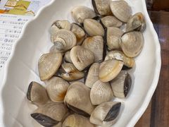 白贝-丰尔粥食·粥底火锅·桑拿鸡(大良总店)