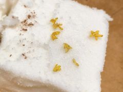 -李百蟹·江南蟹黄面(夫子庙店)