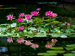 -国家植物园南园