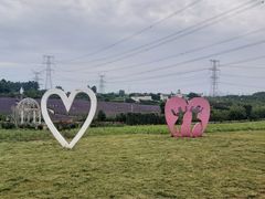 -紫颐香薰山谷景区