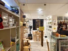 -楼上猫咖(罗湖店)
