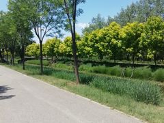 -东郊湿地公园