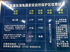 -广东惠东海龟国家级自然保护区