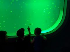 -福州罗源湾海洋世界旅游区