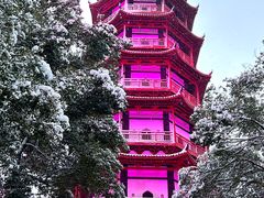 -绳金塔