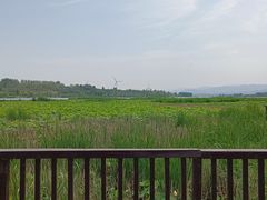 -怀来官厅水库