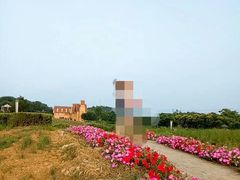 -大塘金香草谷