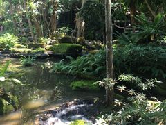-绿光森林餐厅