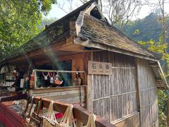 -西双版纳原始森林公园