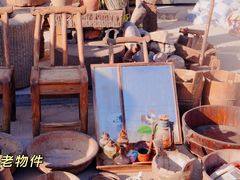 -宿州花鸟鱼虫古玩宠物大市场