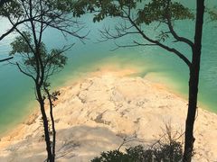 -广州市流溪河国家森林公园