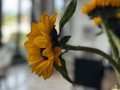 -翠湖轩中餐厅(昆明翠湖宾馆店)