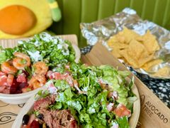 -油梨树AVOCADO TREE(顺义新国展店)