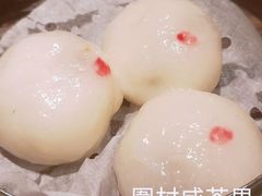 -大荣华酒楼(元朗老店)