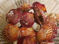 -三个渔夫·蒸汽海鲜(小白楼店)