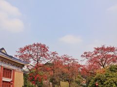 -广州中山纪念堂