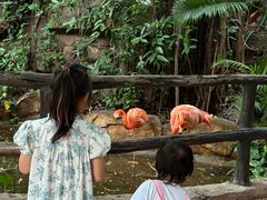 -长鹿旅游休博园