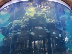 -OPEN開全日自助餐厅·牛肉火锅·海鲜(佛山希尔顿酒店)