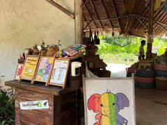 -大象粑粑造纸公园