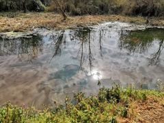 -捞渔河湿地公园