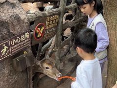 -长鹿旅游休博园