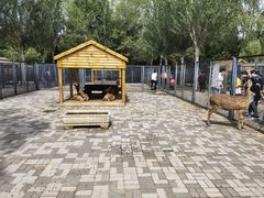 -长白岛森林公园