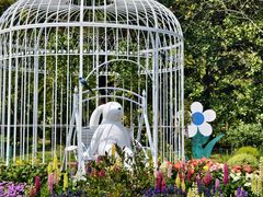 -上海共青森林公园